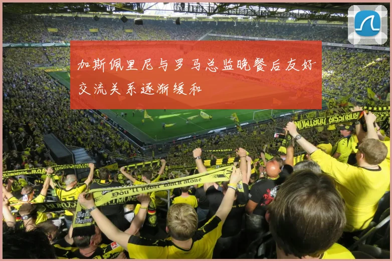加斯佩里尼与罗马总监晚餐后友好交流关系逐渐缓和